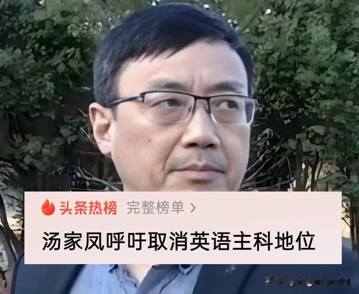 汤家凤呼吁“取消英语主科地位”，一石激起千层浪！引起众位有识之士与不少网友猛烈批