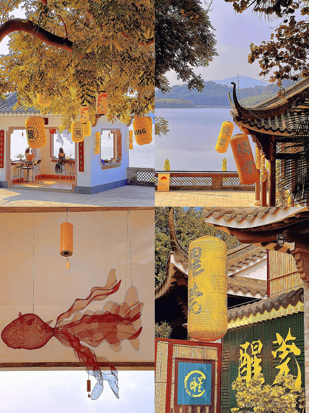 东莞📍 不出莞也能感受江南美景，附游玩建议