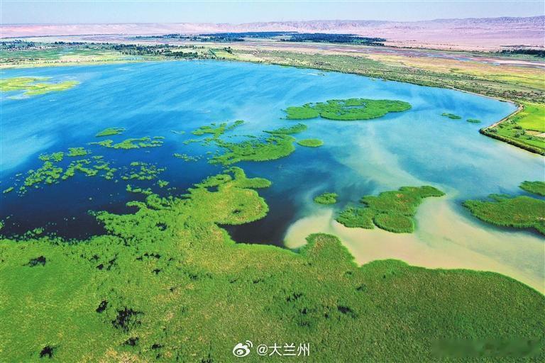张掖湿地候鸟翩飞【珍禽家园 候鸟天堂——张掖黑河湿地国家级自然保护区生态保护纪实