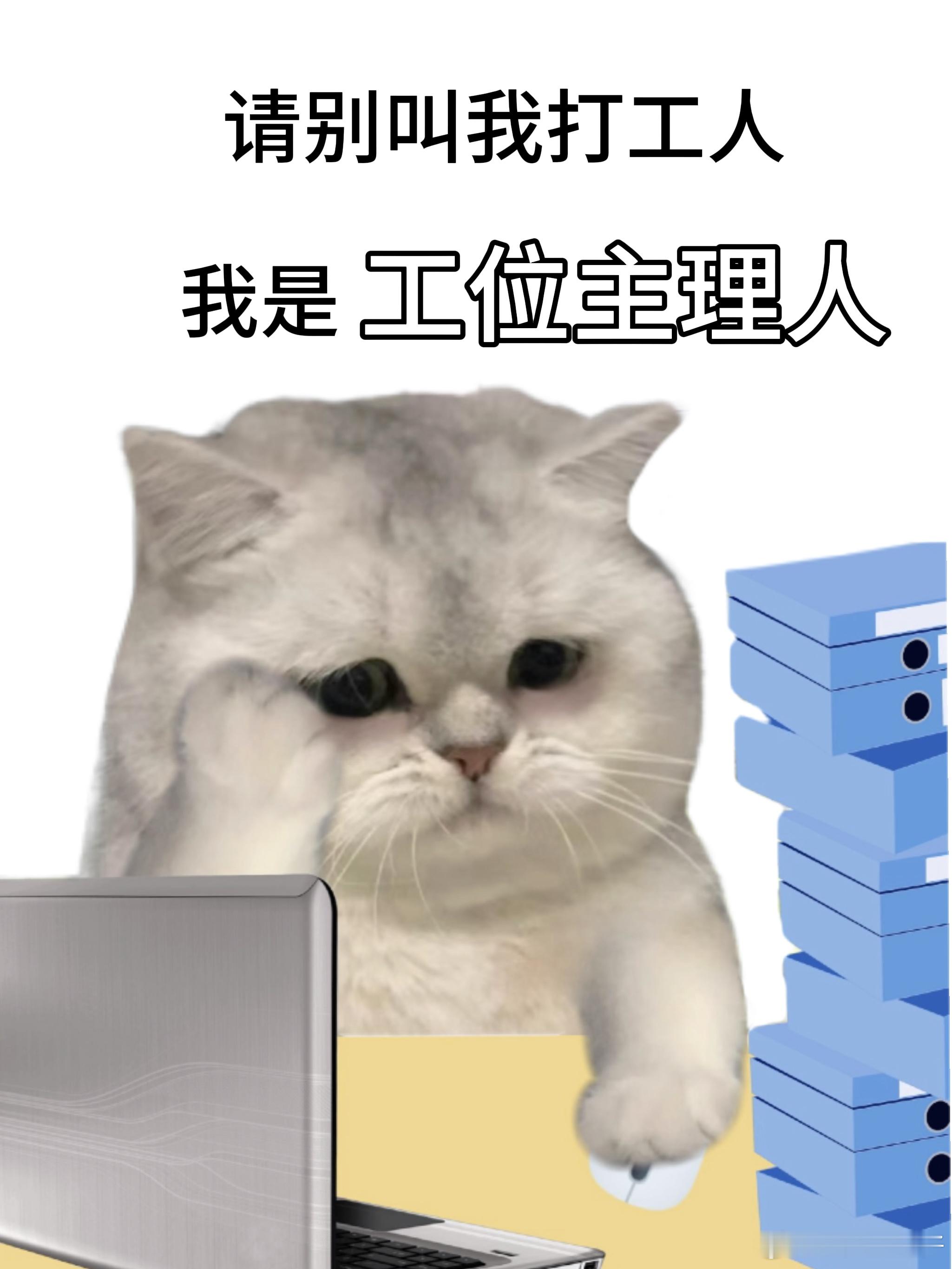 也是水灵灵的当上工位主理人了 ​​​