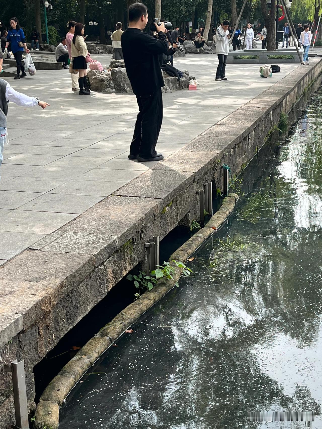 在河边被这个胳膊粗的长虫咬了一口，请问需要挂什么科？在线等！挺急的