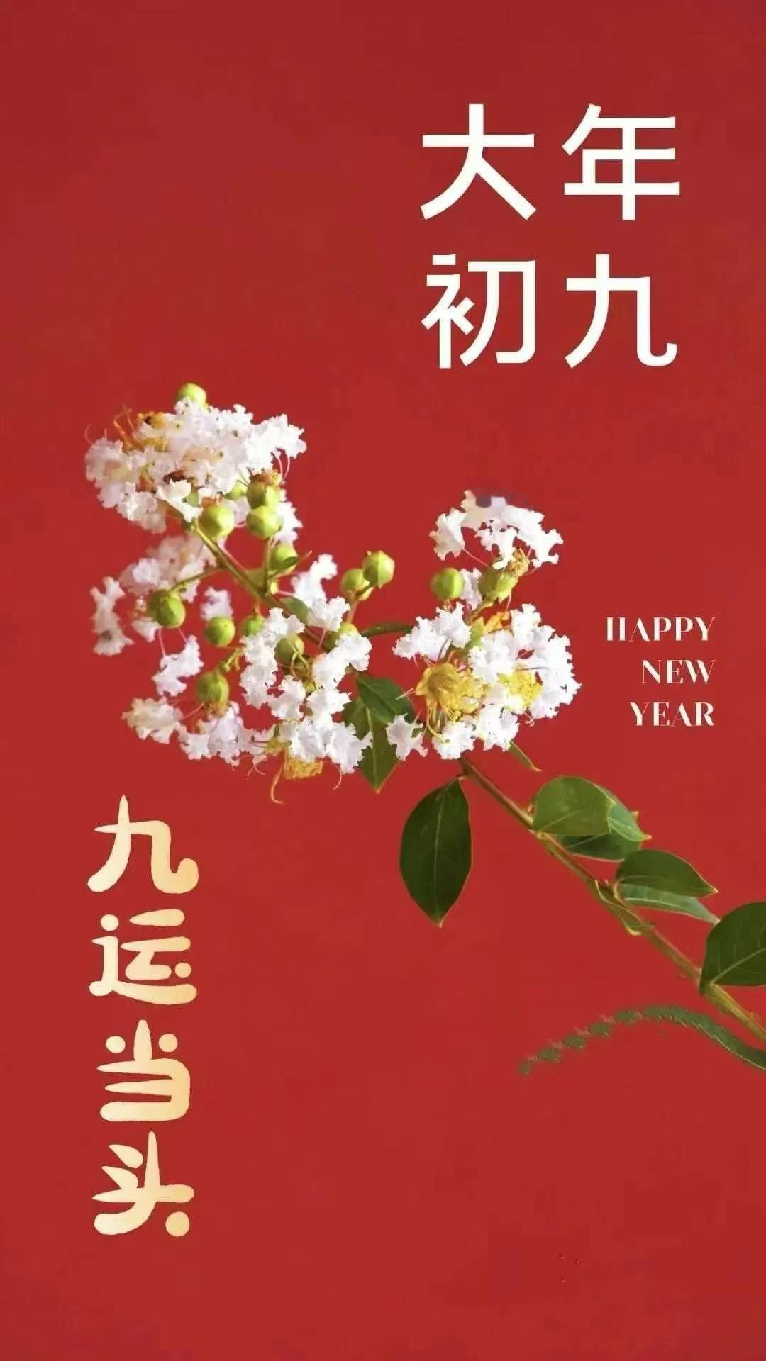 大年初九[如花送福]祝大家：快乐久久，健康久久幸福久久，财运久久 