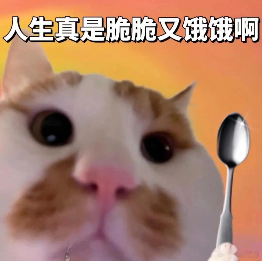 为什么很多乡村幼师害怕上体育课从前户外课堂上，耳边总能响起一遍遍提醒孩子放慢速度