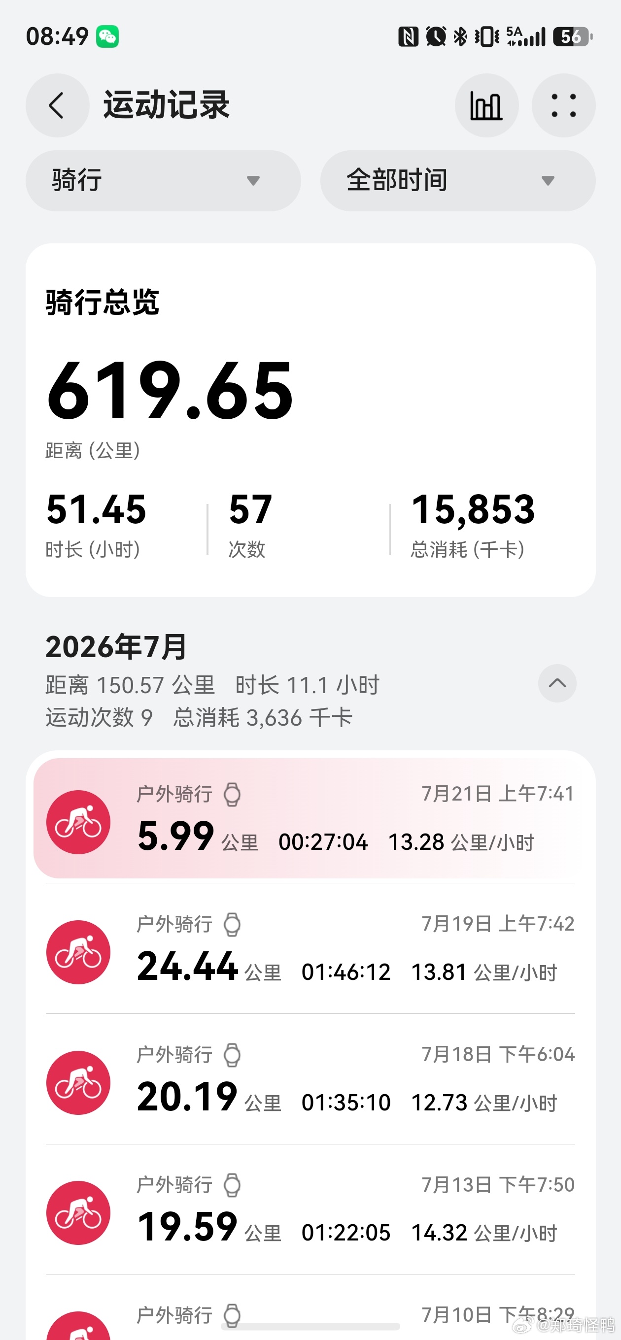 今天鱼儿们干饭跟我一样积极