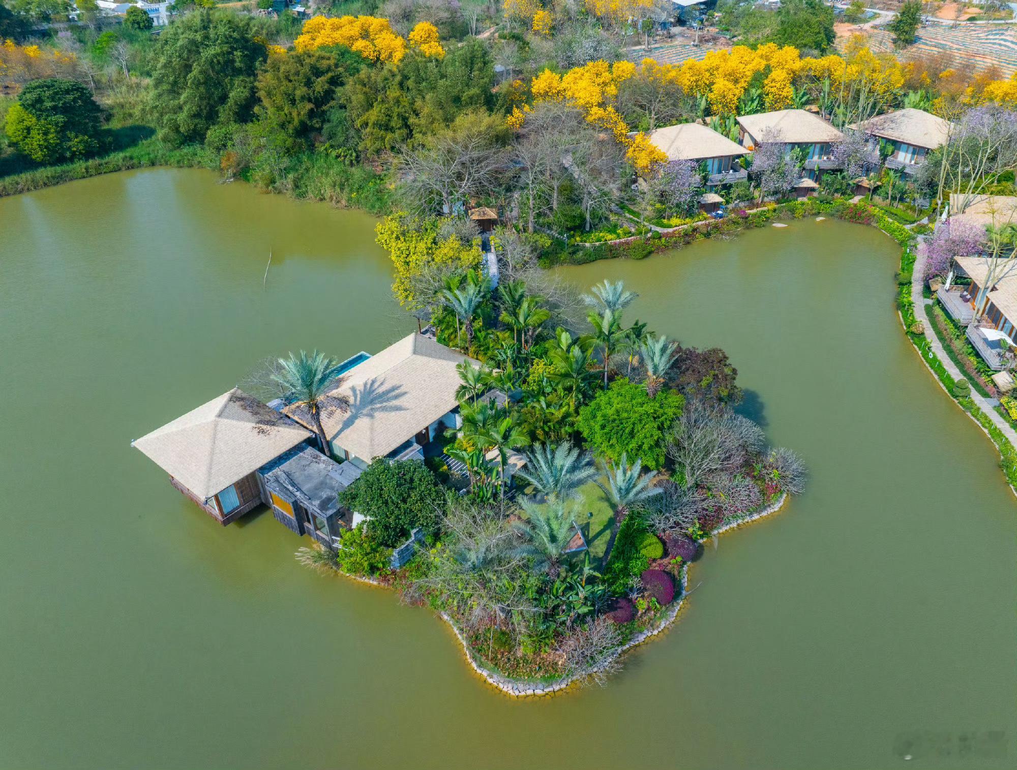 走遍四方全世界最干净的羊驼了世外桃源花仙谷 福建漳州长泰 漳州·唐宋花仙谷度假村