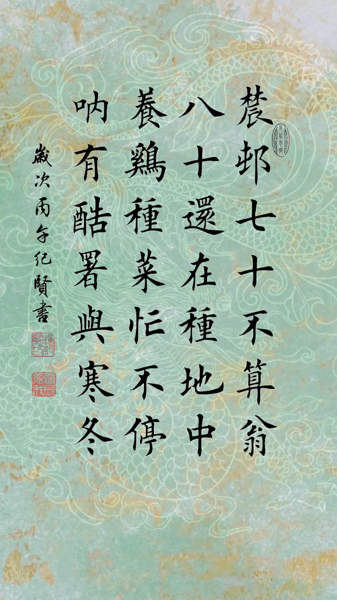 农村七十不算翁，八十还在种地中。 养鸡种菜忙不停，哪有酷署与寒冬