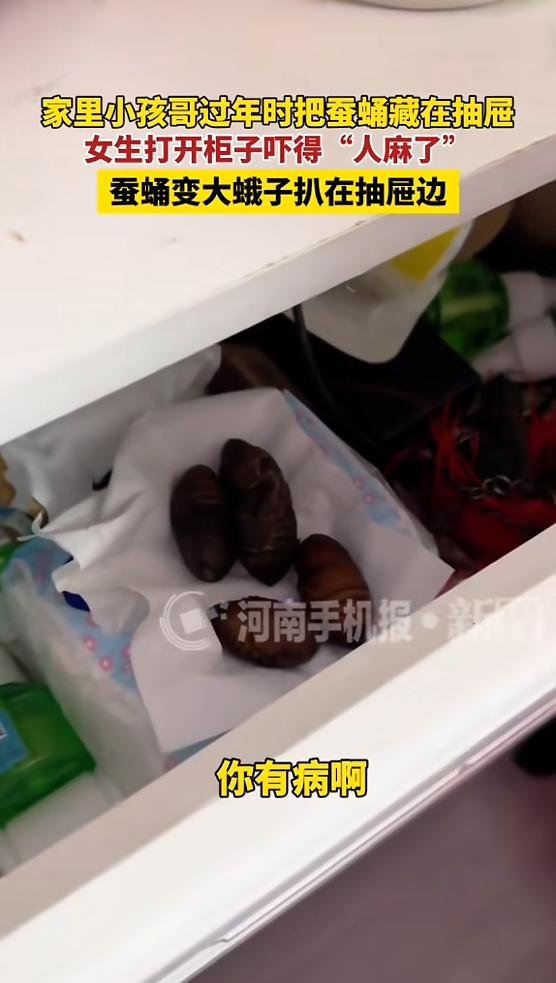 “这惊喜太大了！”近日，黑龙江，一女子准备炸蚕蛹吃，可她的孩子们看见这些活的蚕蛹