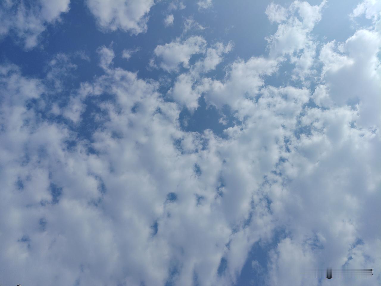 天空照片 云彩成片，朵朵云彩也成为一片’。嗯，来看看！