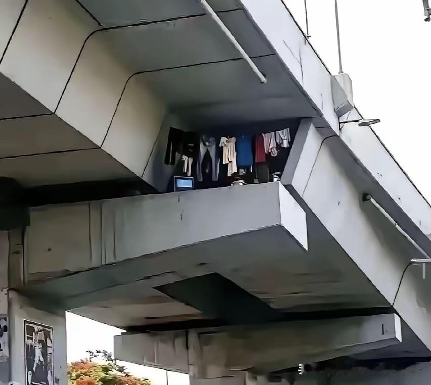 重庆一名市民搭乘01路公交行驶至城市高架路段，视线无意间抬向桥梁预留的混凝土夹层