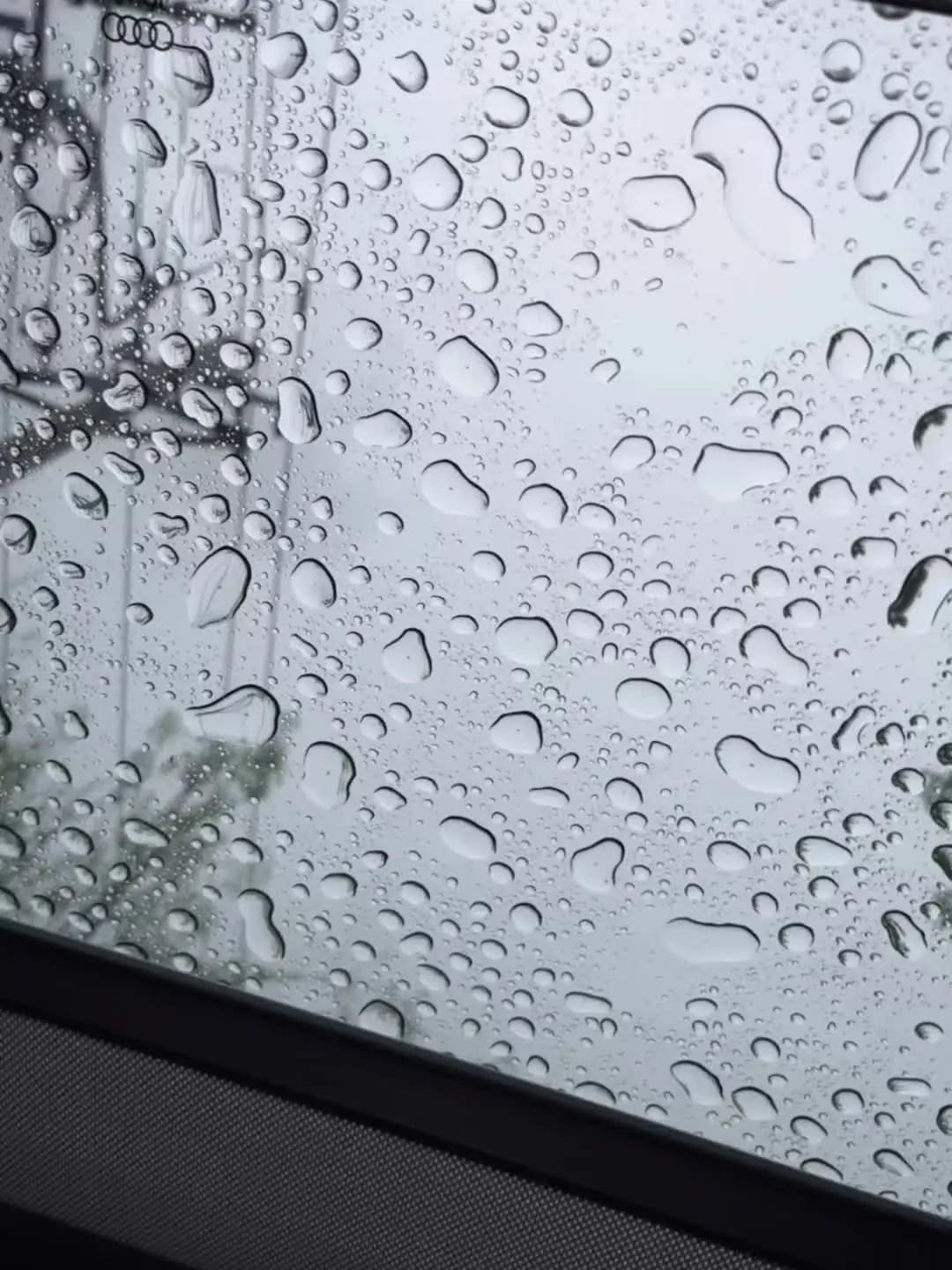 今天下雨了，未止，感受。