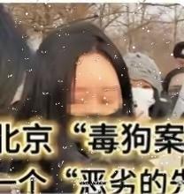 毒狗案的判决让善良的人寒心，让正直的人愤怒；狗娘把狗视为自己家人其一违反人伦纲常