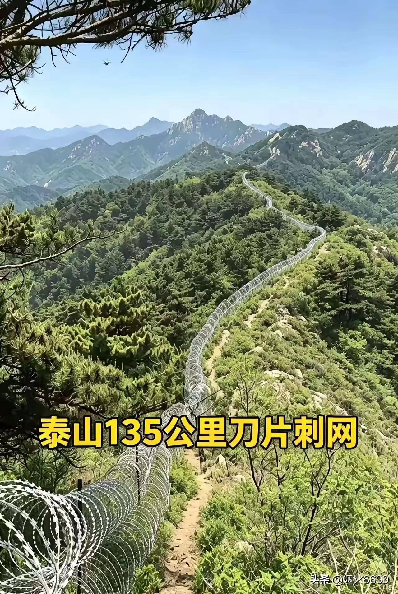 泰山刀网建花了2000多万，拆不知又要花多少，据说7月10日全部拆完。
这玩意儿