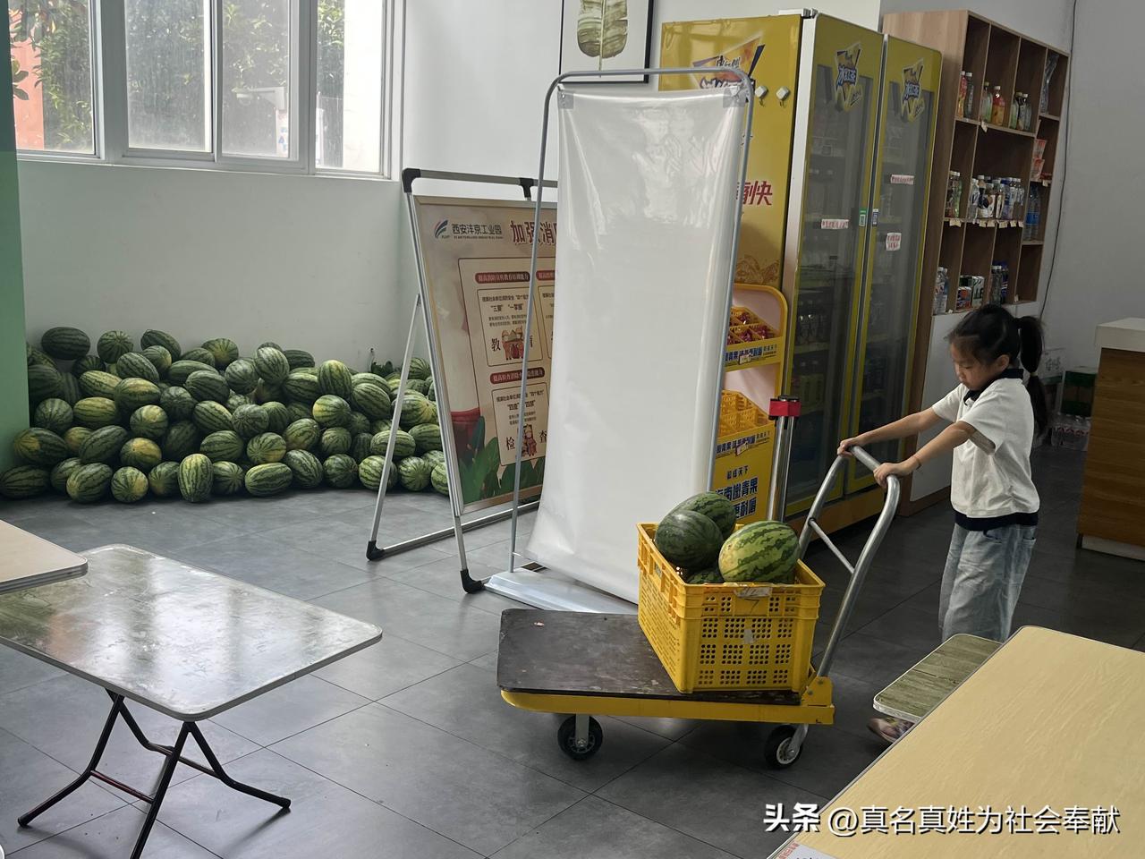 在户县丰二路附近的一家餐厅里，有个小朋友正用板车搬运西瓜，这些西瓜是供食客用餐时