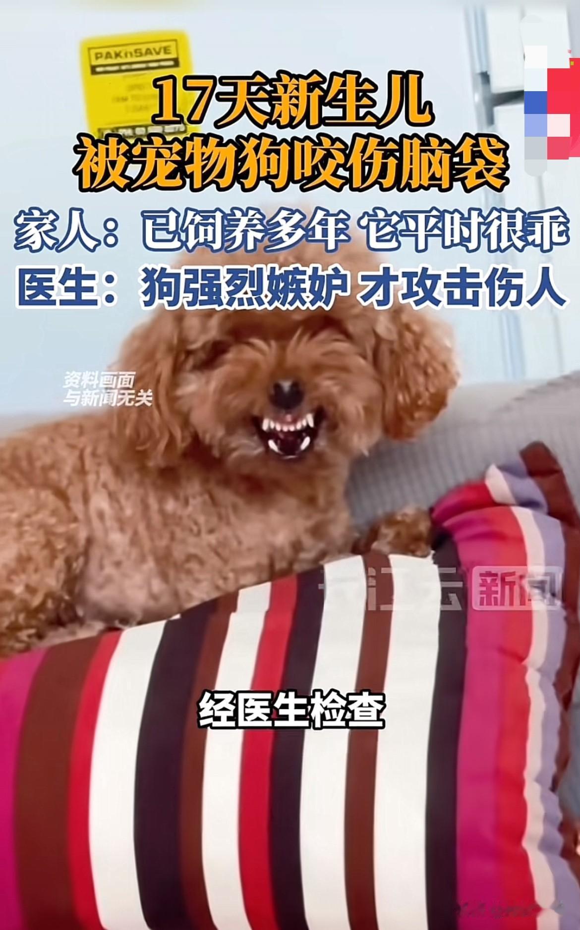 真的吓出一身冷汗！
才17天大的小宝宝，被家里养了好几年的狗咬到头了！

家里人