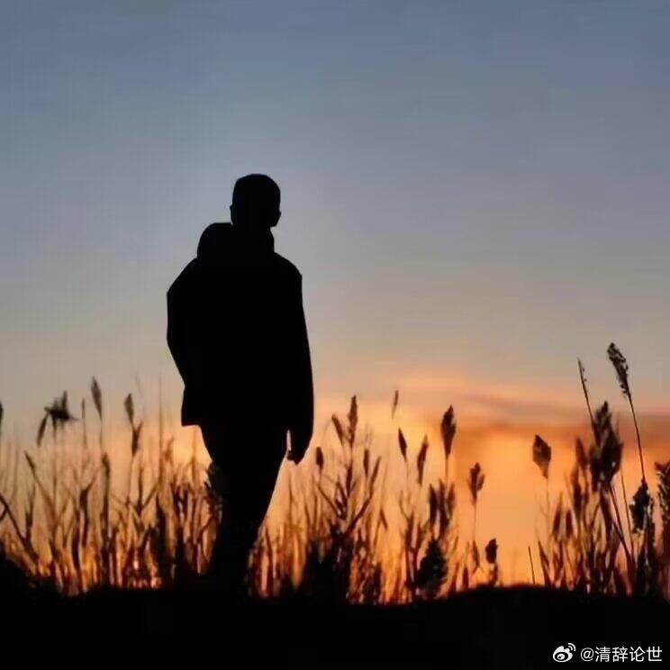 世人皆寻共鸣，灵魂终是独行，在这个声色喧嚣、满是欲望的人间，人人奔赴名利、追逐烟
