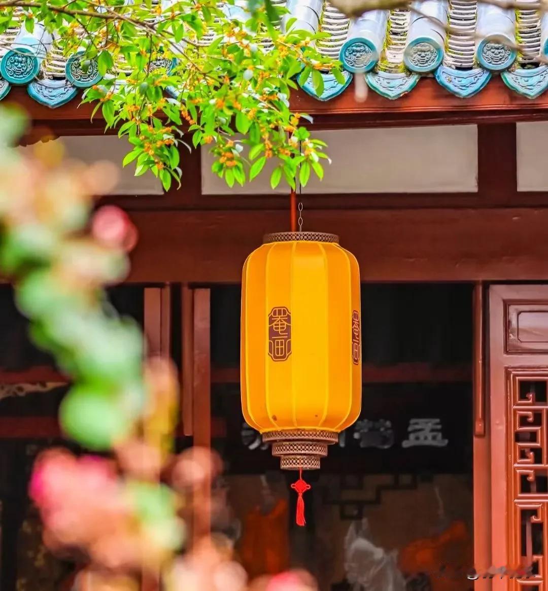 温暖的伸手
凡人微光
致敬那些生活中遇见的
平凡中的不平凡