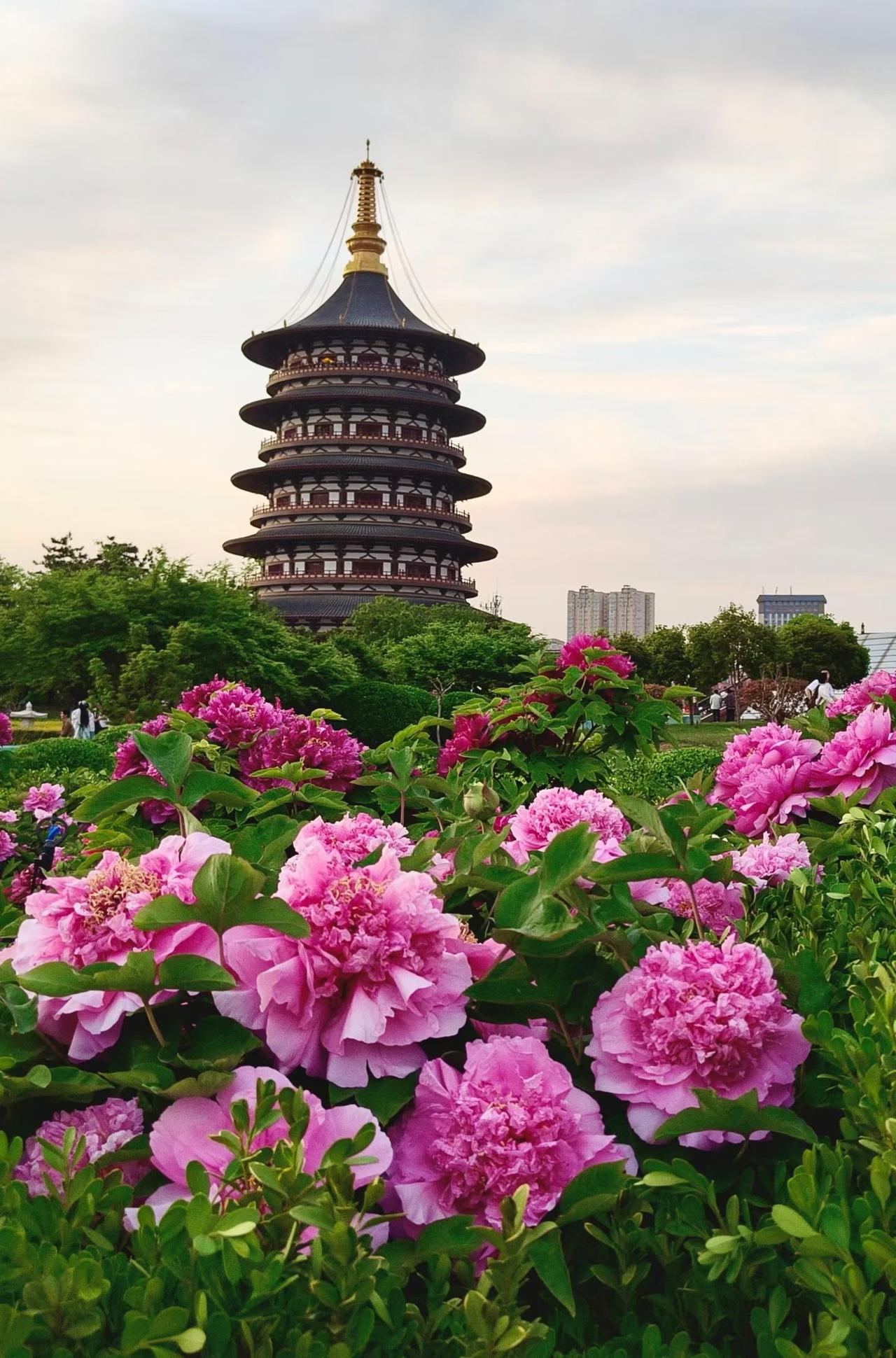 可以看看你拍的塔吗