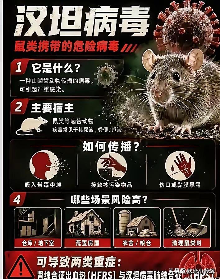 欧洲还是美国？当我们以上帝视角看待“汉坦病毒”时，这个问题更值得讨论：如果这个病