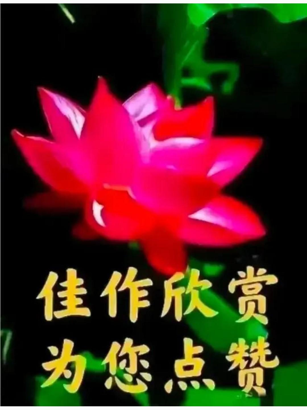 太棒了[赞][赞][赞][福][玫瑰]