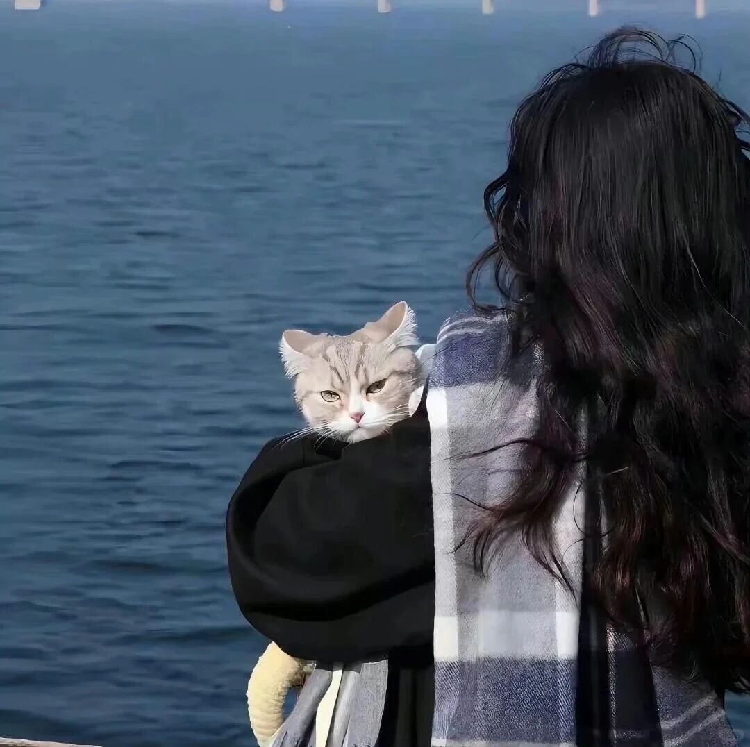 生活手记  海与风 温与柔 爱与不爱皆自由 