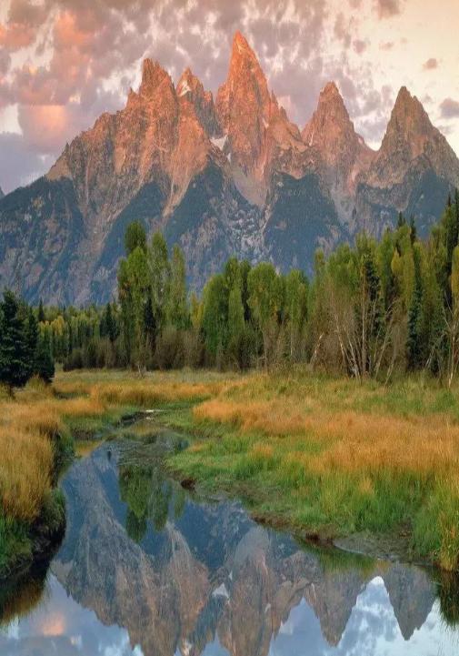 “好色”的女人才是好女人，如果一个女人不好色，那她就不是女人。

这个说法最近在