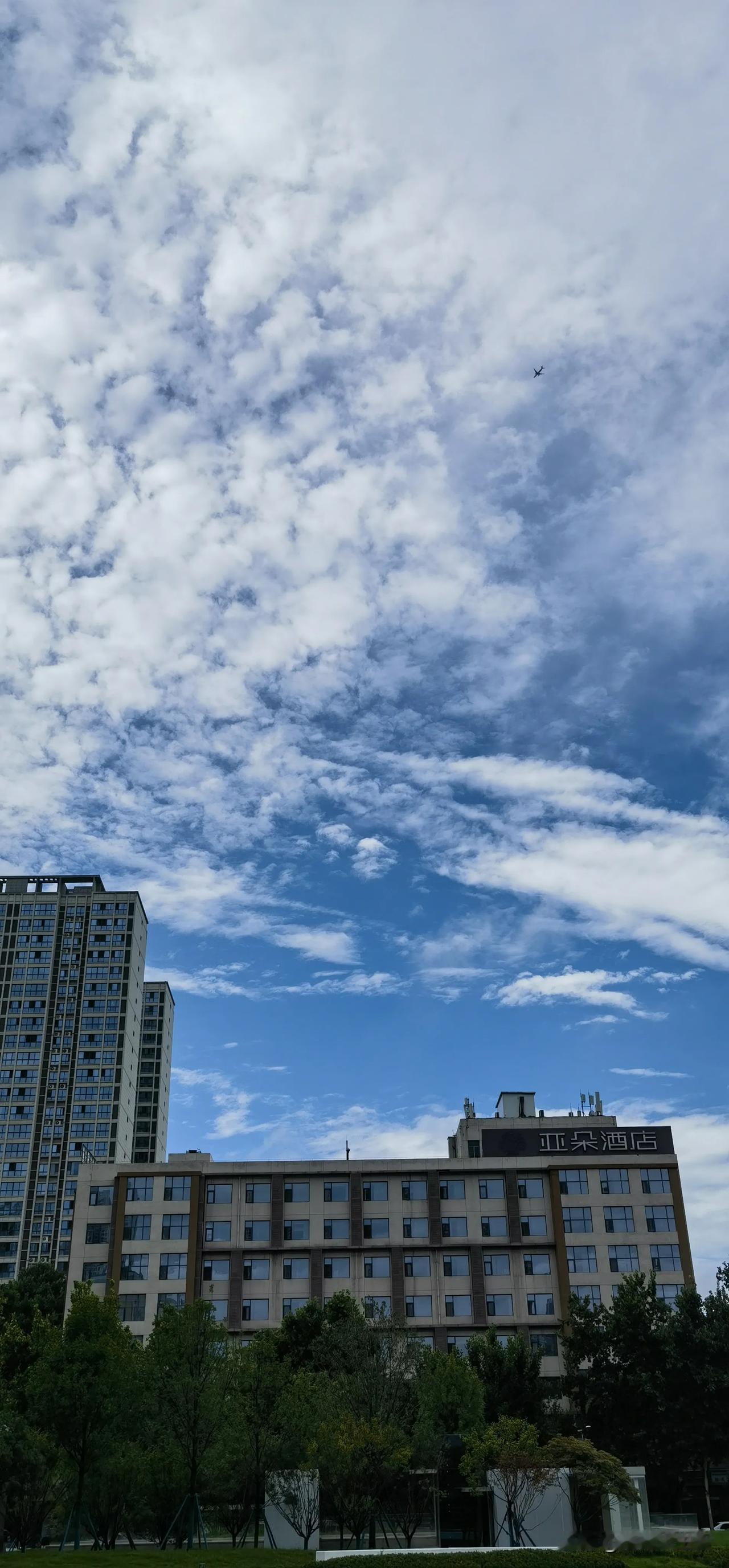 #夏日生活打卡季#