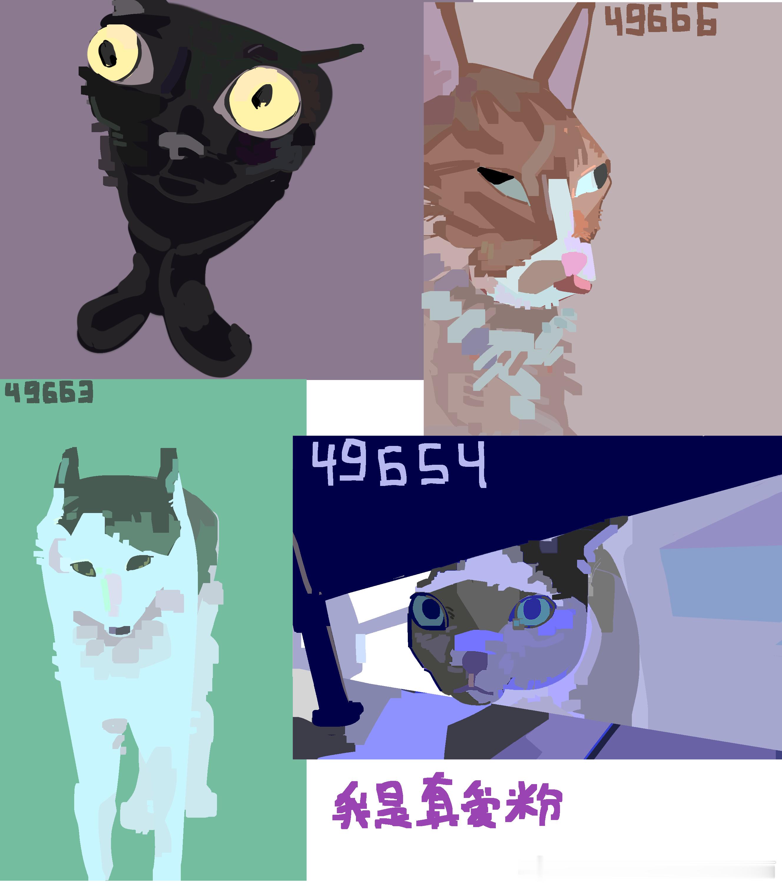 49369【丑猫】画的你测丑猫🤤dbq抓小猫练色彩了丑有应得就当不好丑猫卢浮宫