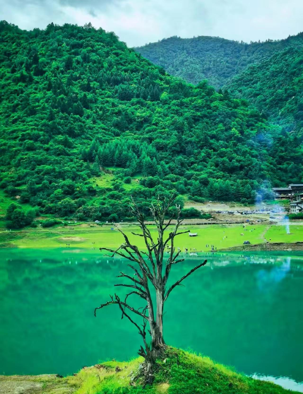 岁月送给我苦难，也随赠我清醒与冷静！生活不会辜负每一个努力的人 生活碎片 岁月送