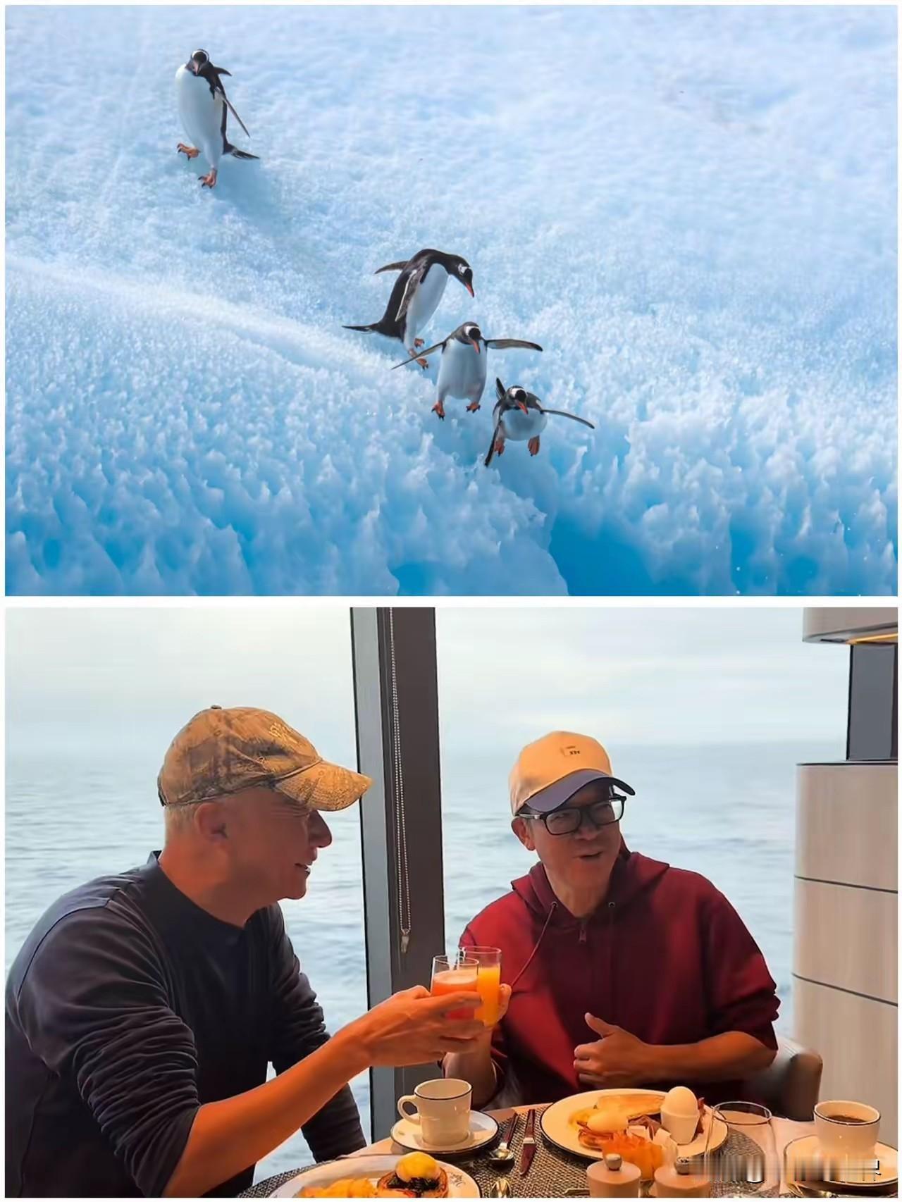 同志们朋友们家人们兄弟们，此刻我正徜徉在南极的浩瀚冰雪世界里。看着一只只企鹅，就