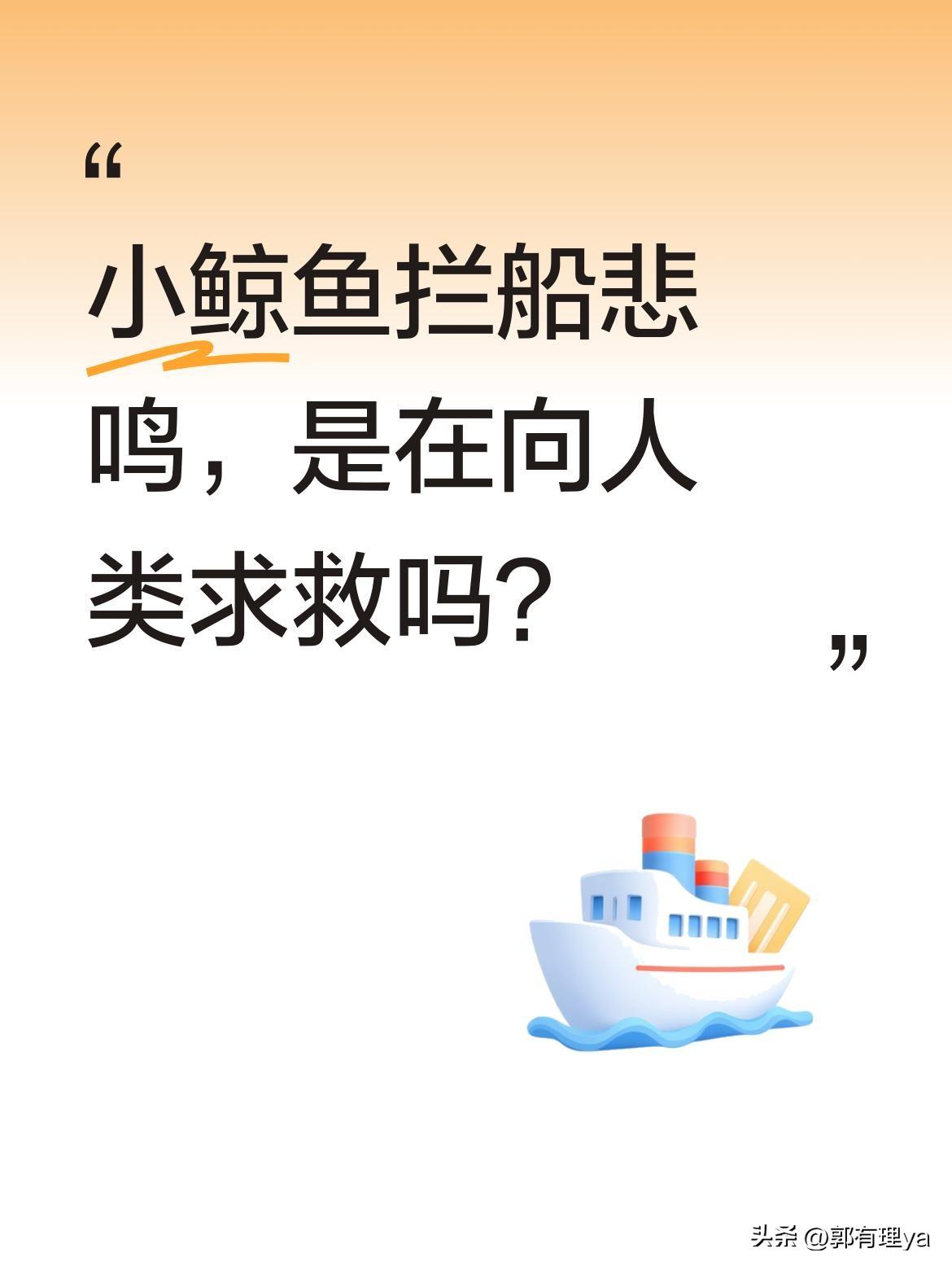 小鲸鱼拦船悲鸣，是在向人类求救吗？
国外小哥海上钓鱼时，遇到鲸鱼母子拦路。起初以