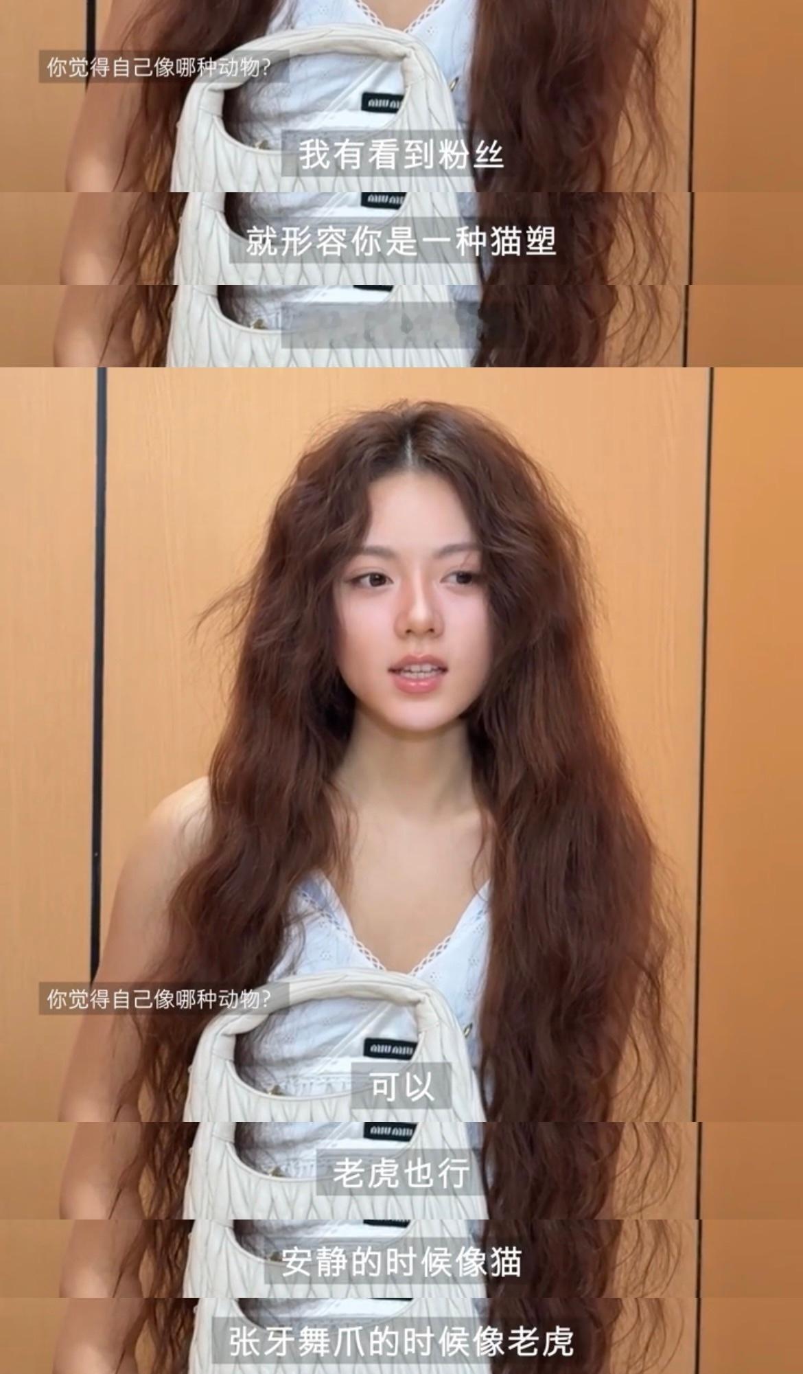 “安静的时候像猫，张牙舞爪的时候像老虎。”“凶起来像炸毛的狮子。”小麦麦这个大猫