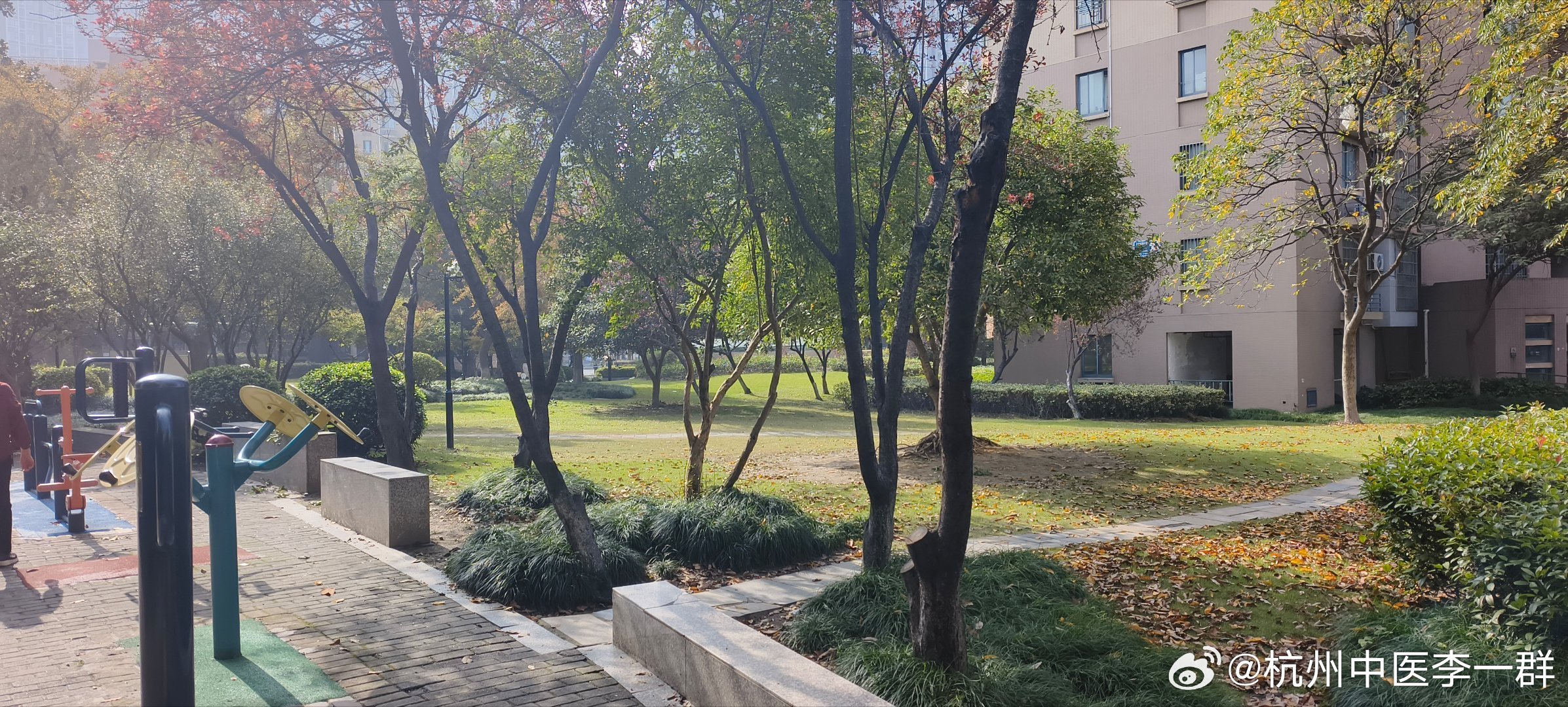 天气不错，遛娃，锻炼锻炼我的日常plog ​​​