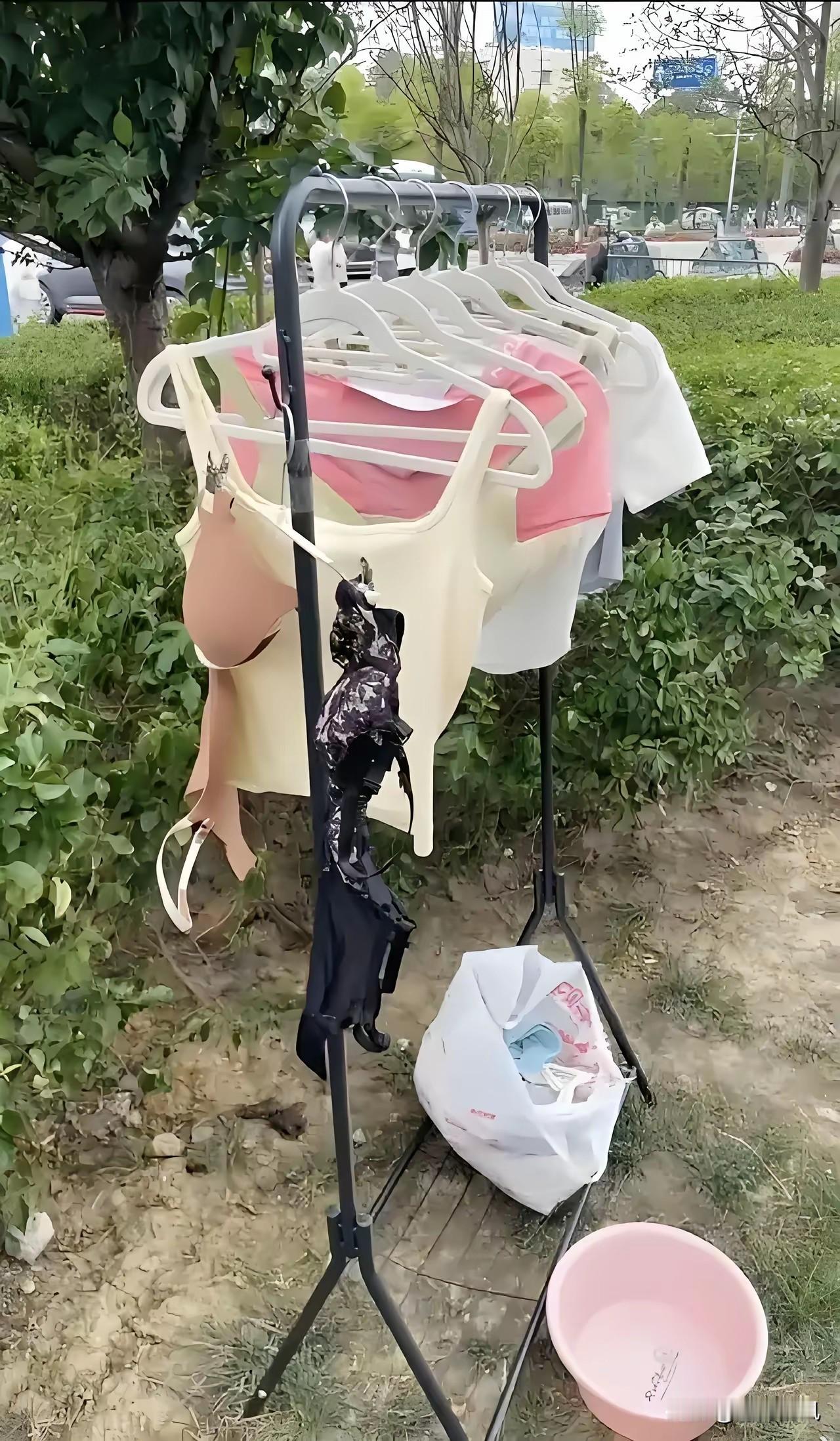 这是令人羞涩的一幕


绿化带里支起晾衣架

花花绿绿的女性内衣内裤

迎风飘舞