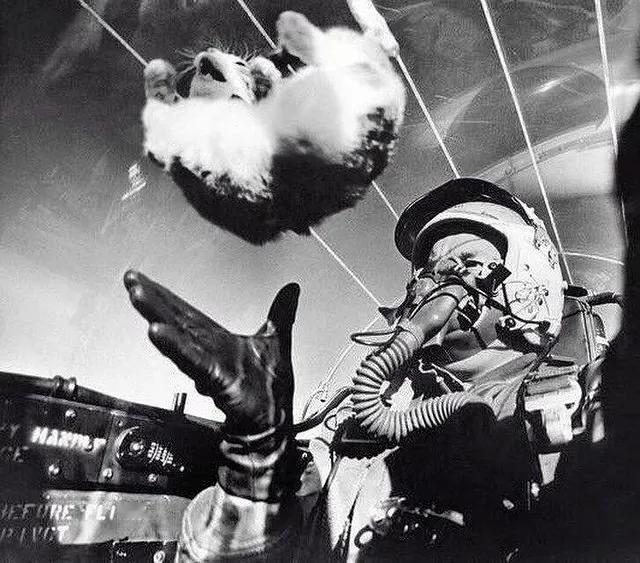 #照片中的航空史# 1958年2月，美国空军上尉德鲁伊·帕克斯（Druey Pa