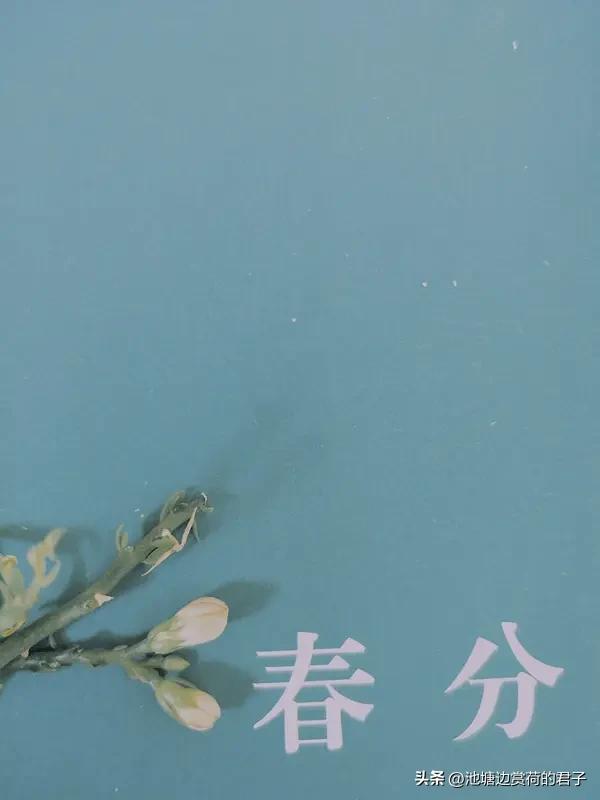 记录我的2026 2026年3月20日，春分巧遇二月二龙抬头，这可是极为罕见的。