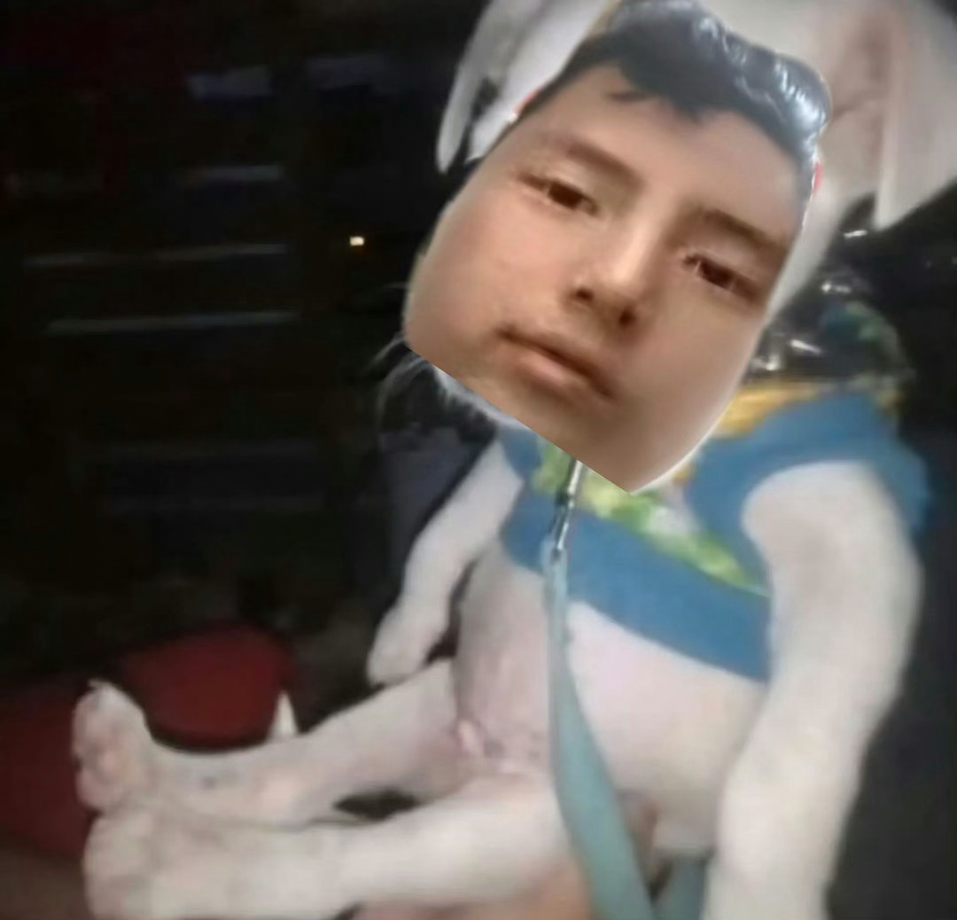 松灿奴金主训 六男一 1 