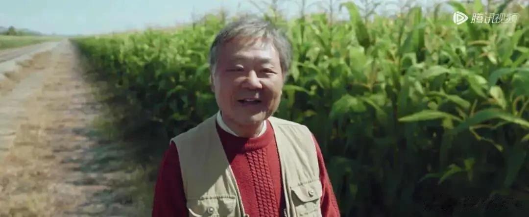 当范伟不再是彪哥，当彪哥不再是范伟，他已经封神了！以前看范伟如果想不到彪哥那是我