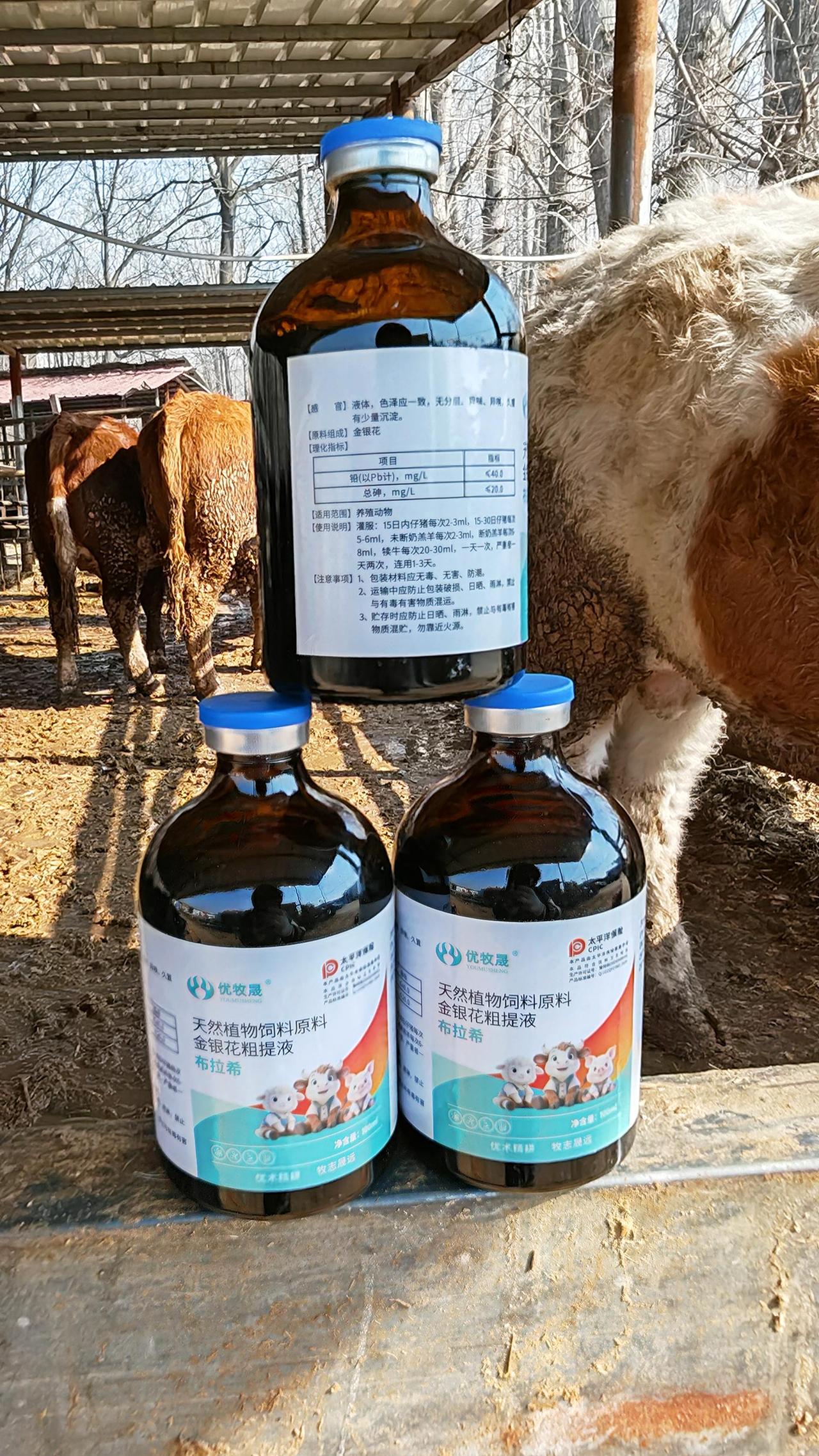 养牛人 牛羊养殖 农村养羊