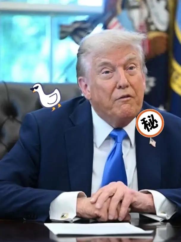 快报！快报！
特朗普宣布
10月7日，特朗普宣布，已经决定向乌克兰提供战斧导弹，