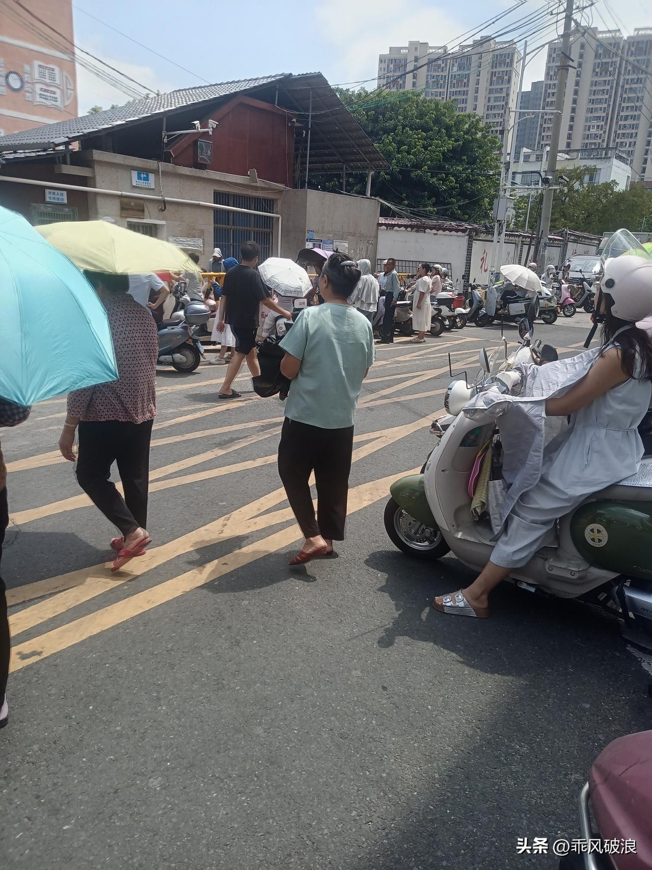 秋日生活打卡季古人说二四八月乱穿衣，有人穿春衣，有人穿秋衣，有的人还打着大阳伞，