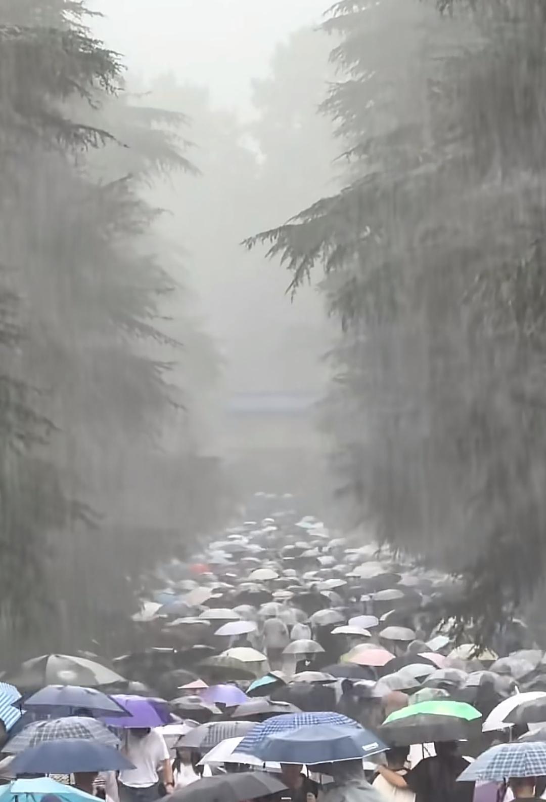 一大群人撑伞在雨中排队。出去玩的意义是什么？他们冒雨🌧️去哪里呢？雨中淋雨的人
