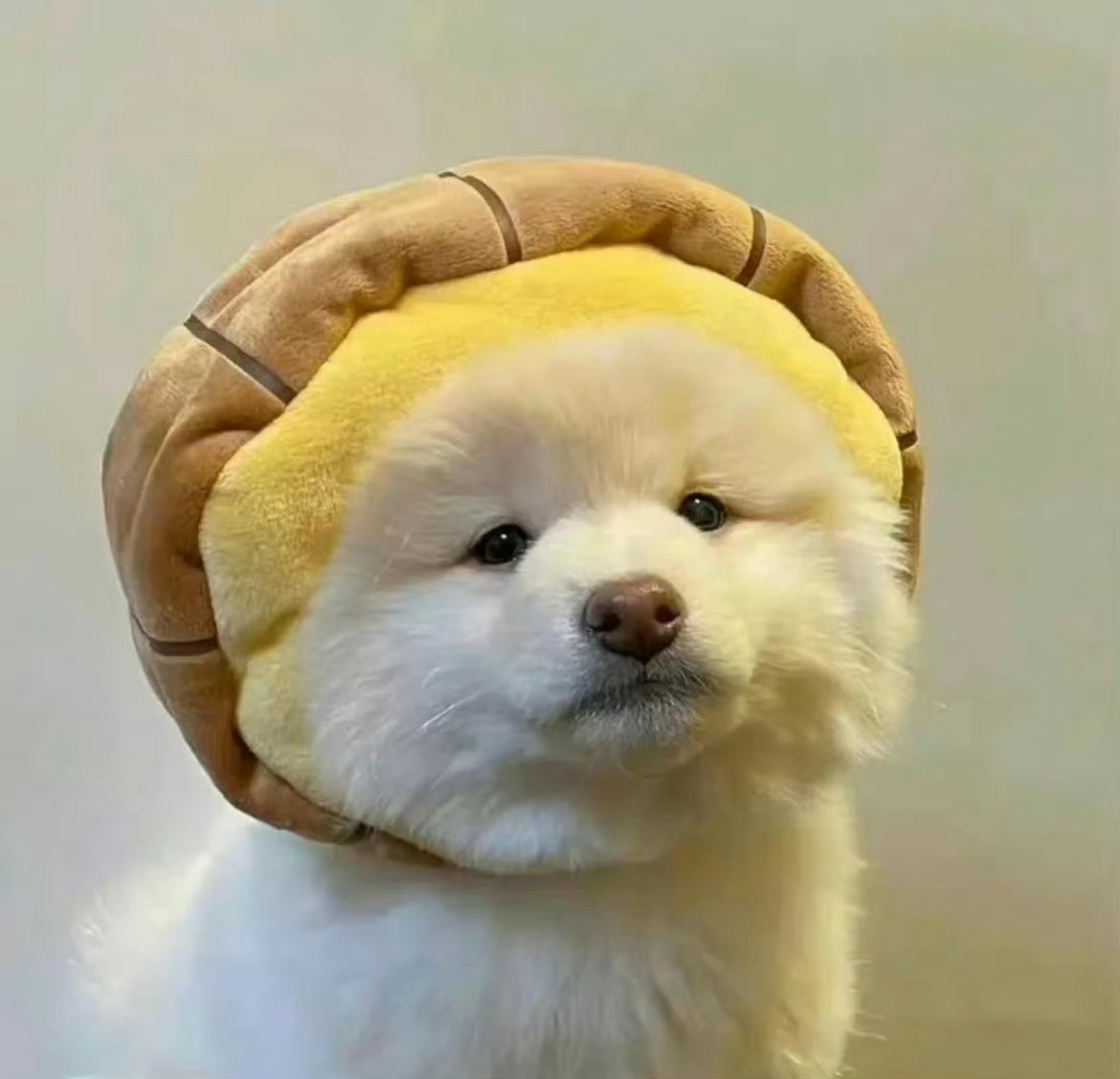 如何拒绝不喜欢的人 