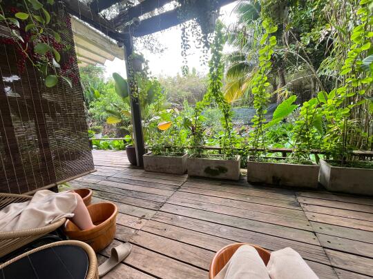 越南🇻🇳胡志明二郡热带雨林风格的spa 馆