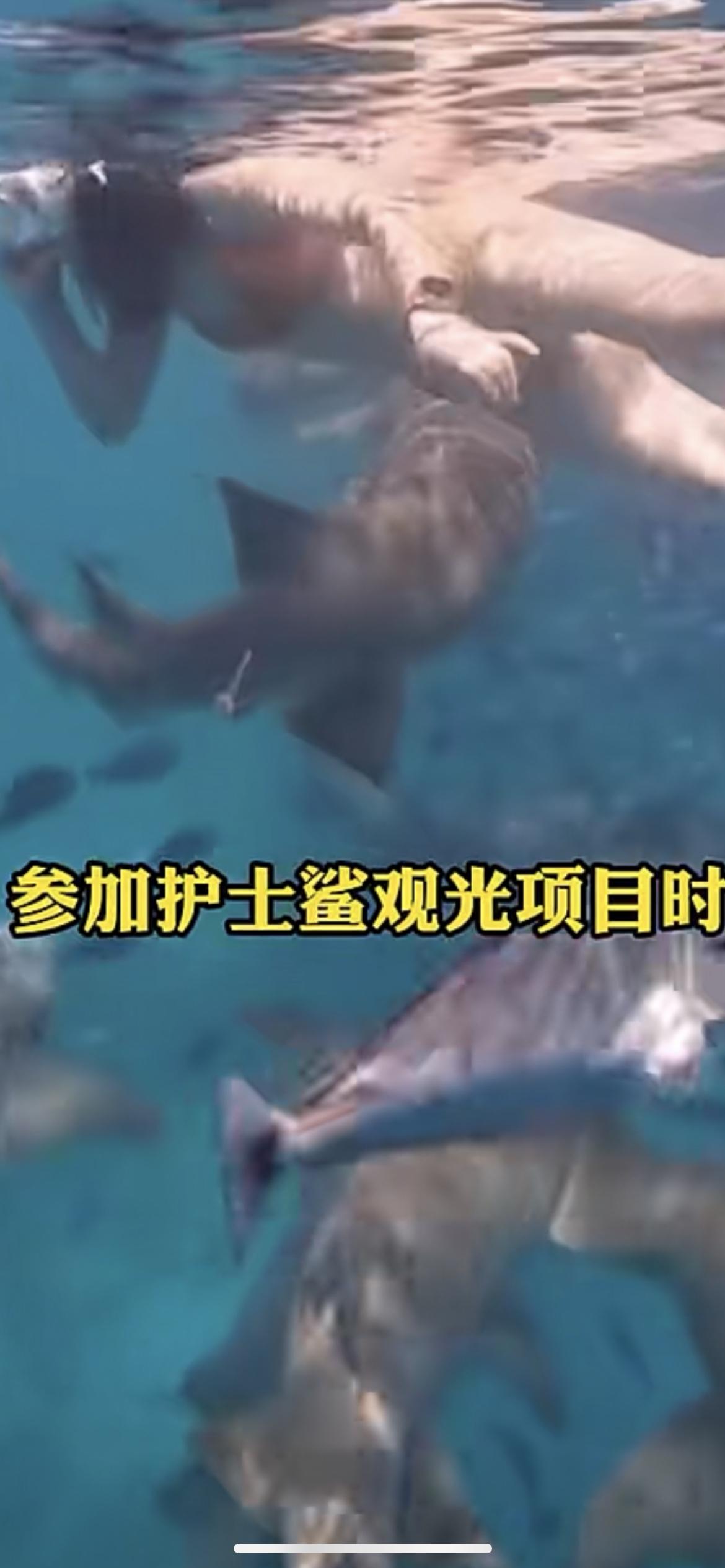 11月29日，中国游客马尔代夫潜水被鲨鱼咬伤手腕 ，生理期下水 戴银色反光手链 