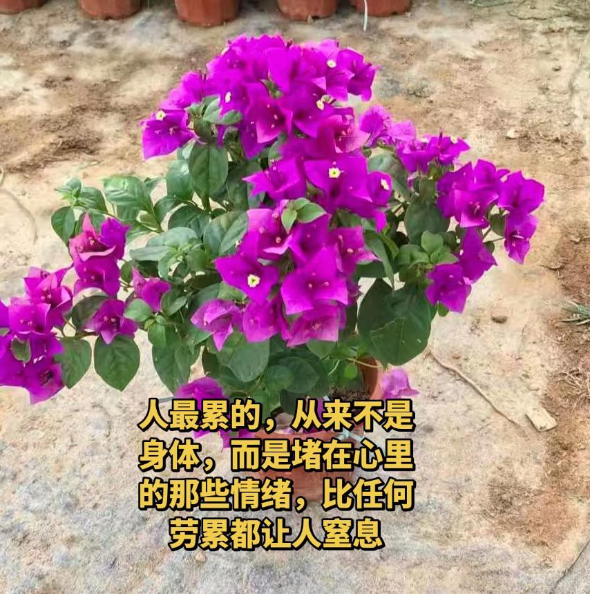 人最累的，从来不是身体，而是堵在心里的那些情绪，比任何劳累都让人窒息