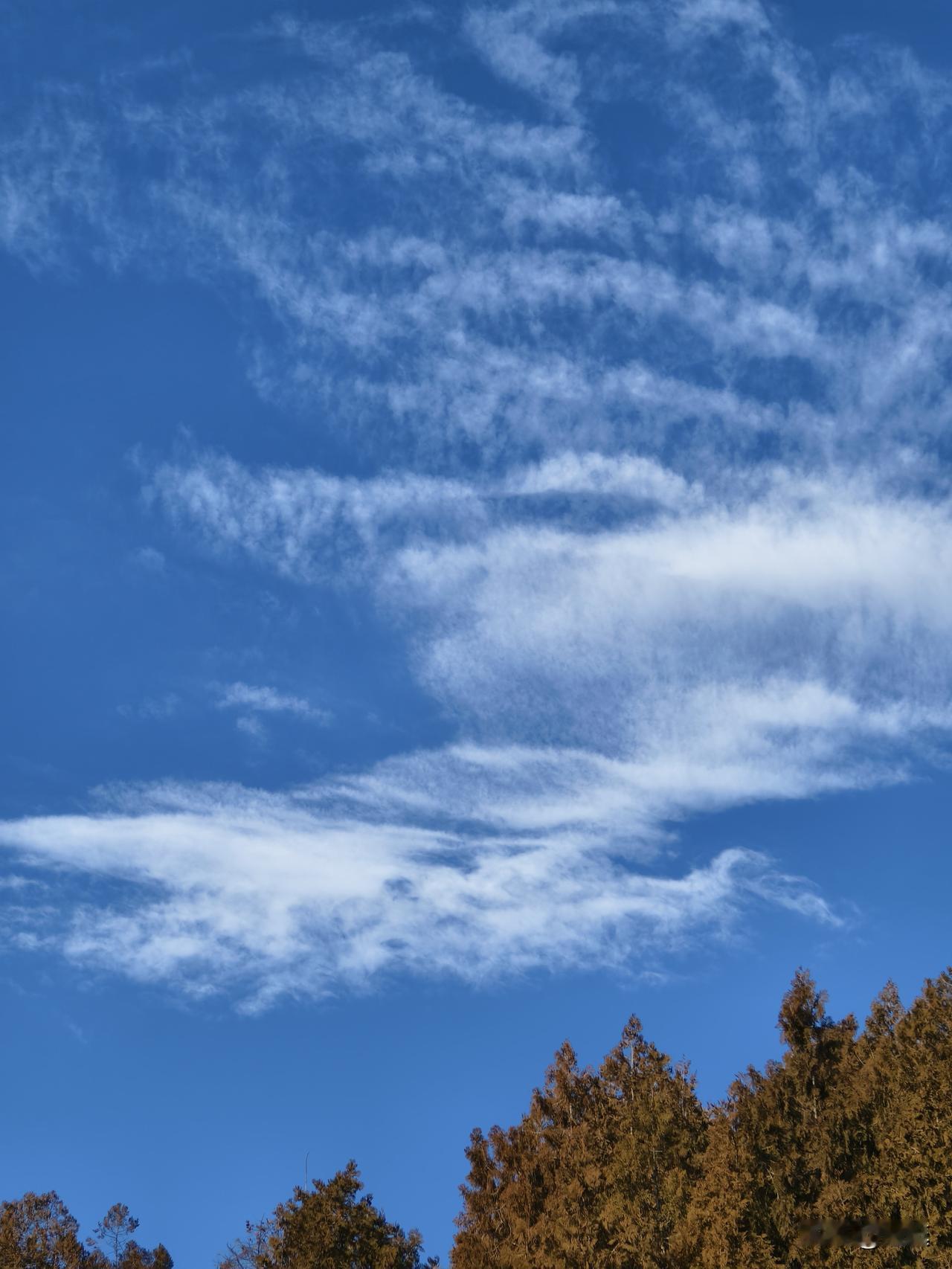 分享一下你随手拍下的照片每天爬昌平北山打卡处随手拍