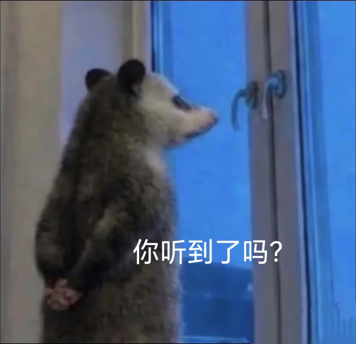 爱奇艺，我只想要1万 