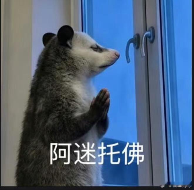 阿根廷球迷又进入阿迷托佛状态已经规划好完整的拜佛路线，灵隐寺西园寺挨个打卡，不求
