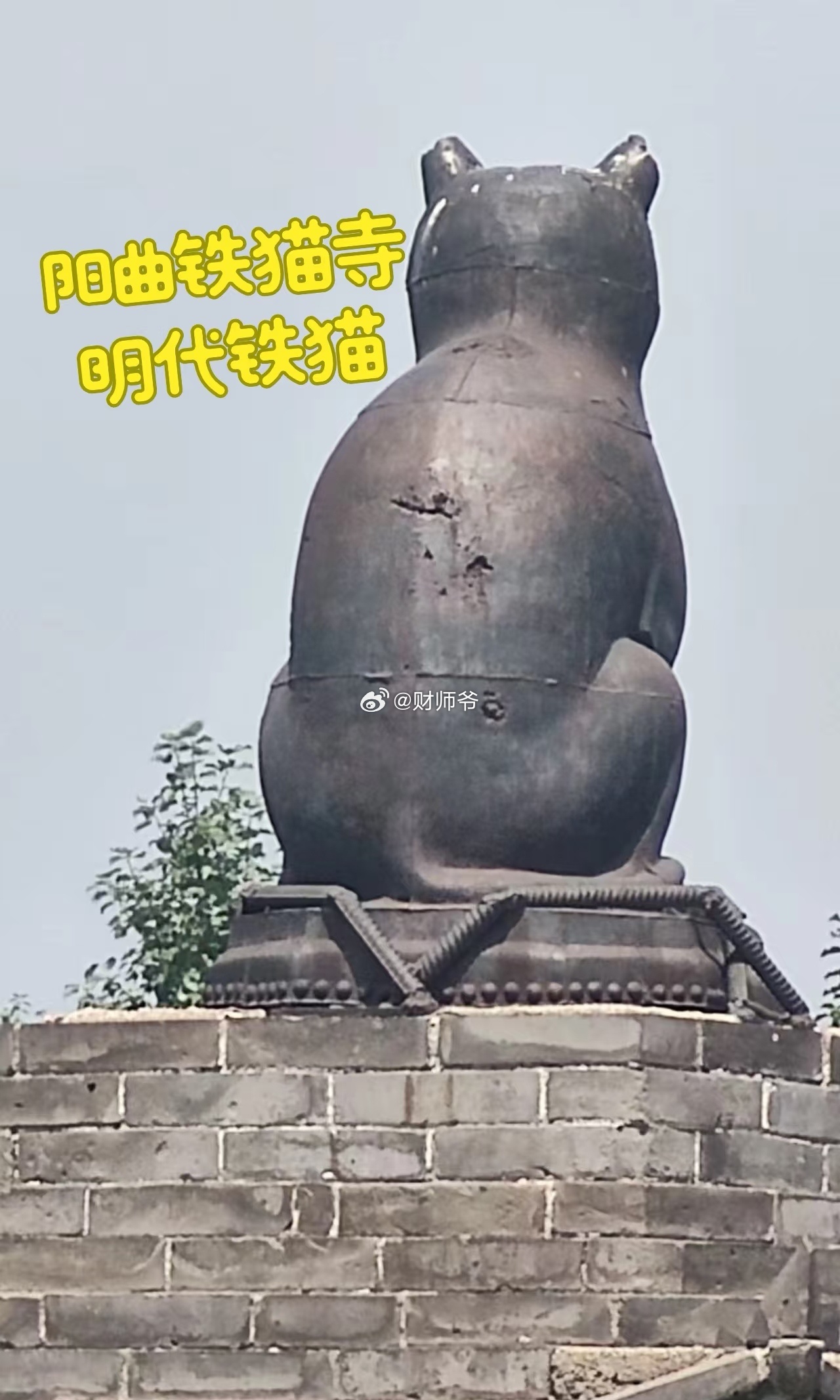 如果你是爱猫人士，记得来山西阳曲县来拜拜这个明代的“铁猫寺”。这是中国唯一供奉猫