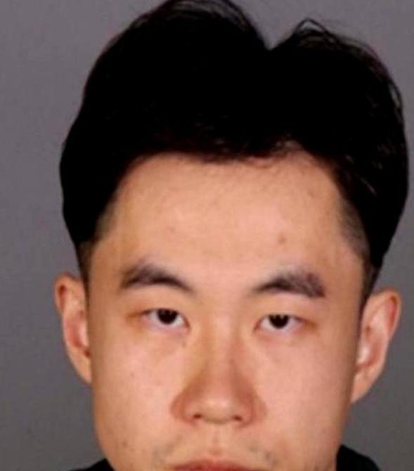张大鹏，哈工大毕业、在法兰克福拿高薪的IT经理。如果不是德国警方那把破门而入的枪